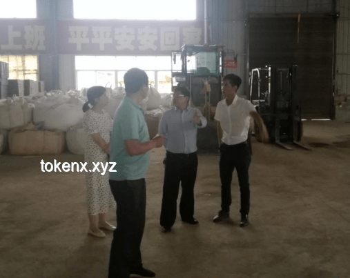 拯救派大星：了解海洋生态与保护行动指南
